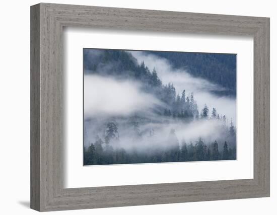 Fog Rolls Through Forest in Misty Fjords National Monument-Paul Souders-Framed Photographic Print