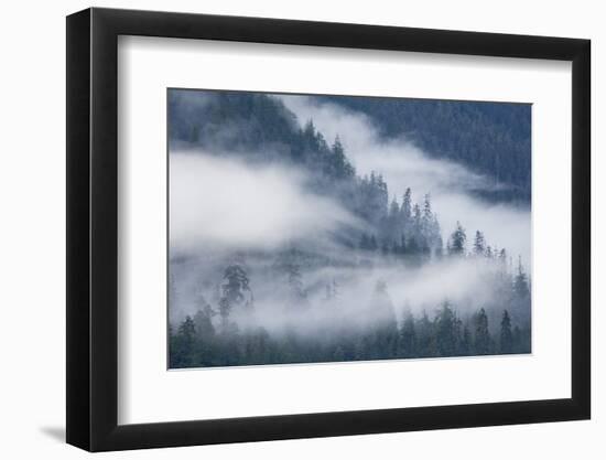 Fog Rolls Through Forest in Misty Fjords National Monument-Paul Souders-Framed Photographic Print