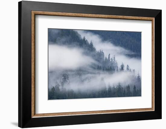 Fog Rolls Through Forest in Misty Fjords National Monument-Paul Souders-Framed Photographic Print