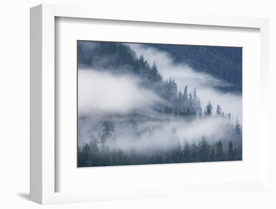 Fog Rolls Through Forest in Misty Fjords National Monument-Paul Souders-Framed Photographic Print