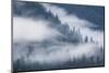 Fog Rolls Through Forest in Misty Fjords National Monument-Paul Souders-Mounted Photographic Print