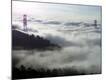 Premium Photographic Print