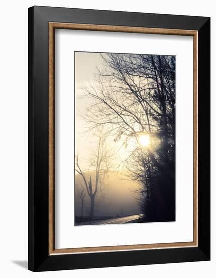 Fog Sun Road-null-Framed Photographic Print