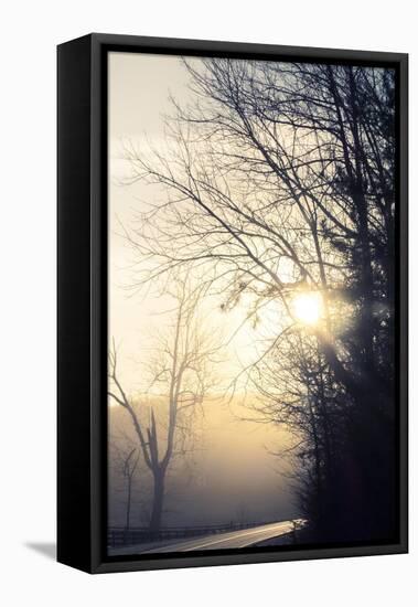 Fog Sun Road-null-Framed Premier Image Canvas