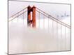 Premium Photographic Print