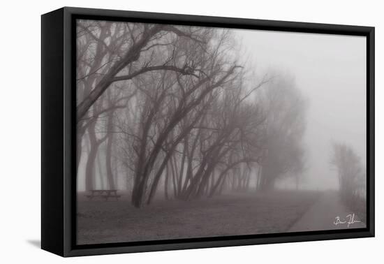 Fog Trail-5fishcreative-Framed Premier Image Canvas