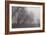 Fog Trail-5fishcreative-Framed Giclee Print