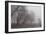 Fog Trail-5fishcreative-Framed Giclee Print