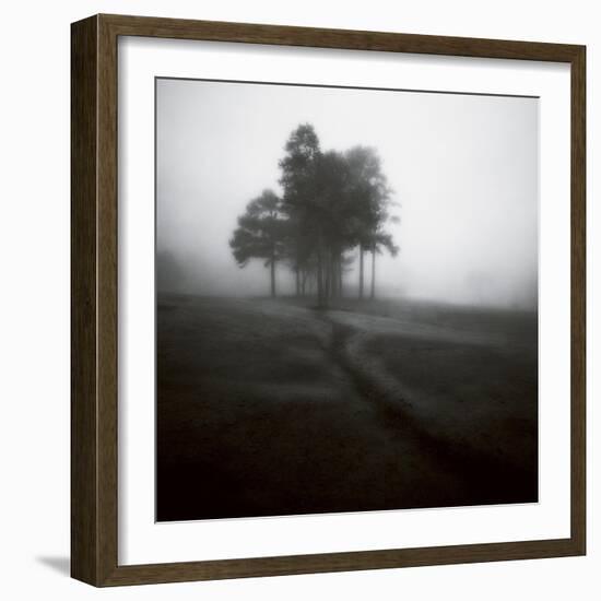 Fog Tree Study 1-Jamie Cook-Framed Giclee Print