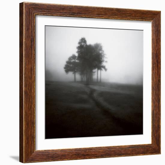 Fog Tree Study 1-Jamie Cook-Framed Giclee Print