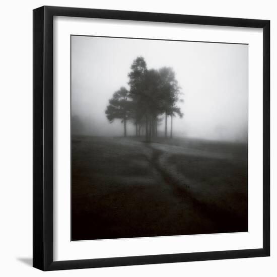 Fog Tree Study 1-Jamie Cook-Framed Giclee Print