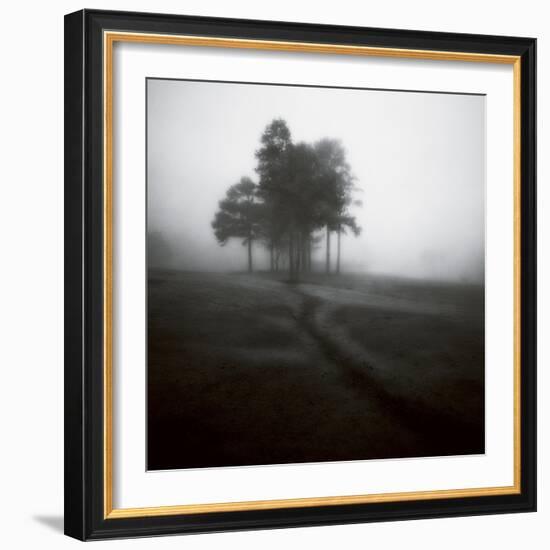 Fog Tree Study 1-Jamie Cook-Framed Giclee Print