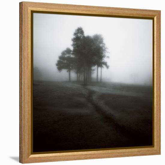 Fog Tree Study 1-Jamie Cook-Framed Premier Image Canvas