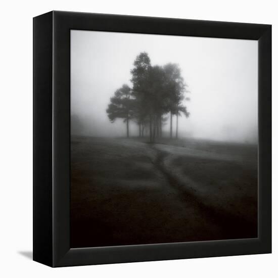 Fog Tree Study 1-Jamie Cook-Framed Premier Image Canvas