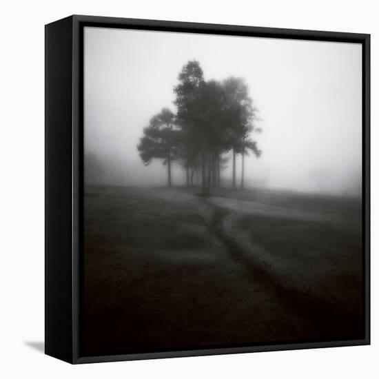 Fog Tree Study 1-Jamie Cook-Framed Premier Image Canvas