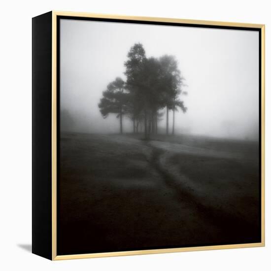 Fog Tree Study 1-Jamie Cook-Framed Premier Image Canvas