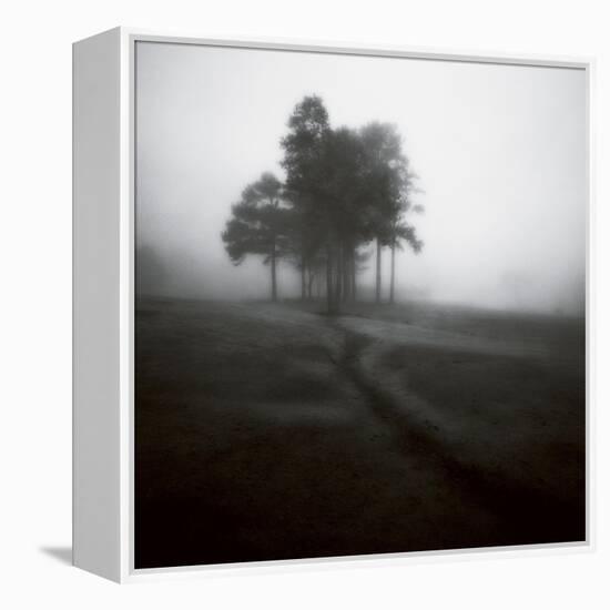 Fog Tree Study 1-Jamie Cook-Framed Premier Image Canvas