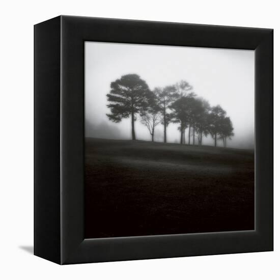 Fog Tree Study 2-Jamie Cook-Framed Premier Image Canvas