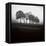 Fog Tree Study 2-Jamie Cook-Framed Premier Image Canvas