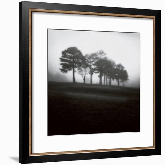 Fog Tree Study 2-Jamie Cook-Framed Giclee Print