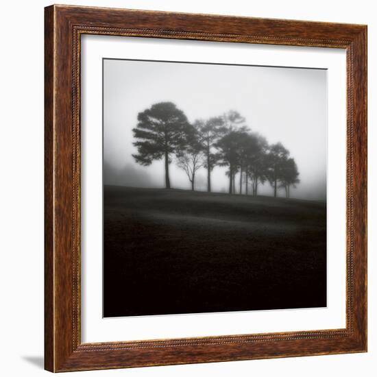 Fog Tree Study 2-Jamie Cook-Framed Giclee Print