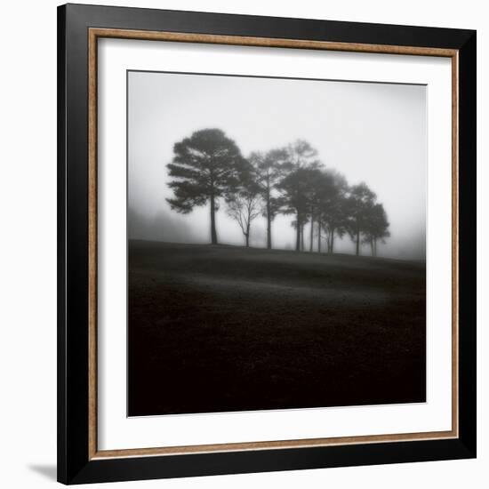 Fog Tree Study 2-Jamie Cook-Framed Giclee Print