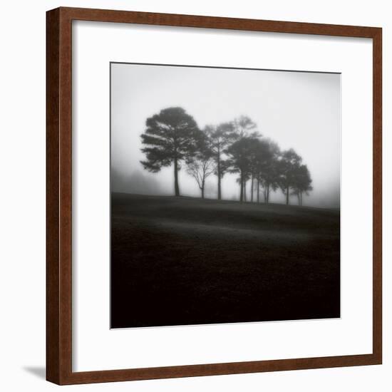 Fog Tree Study 2-Jamie Cook-Framed Giclee Print