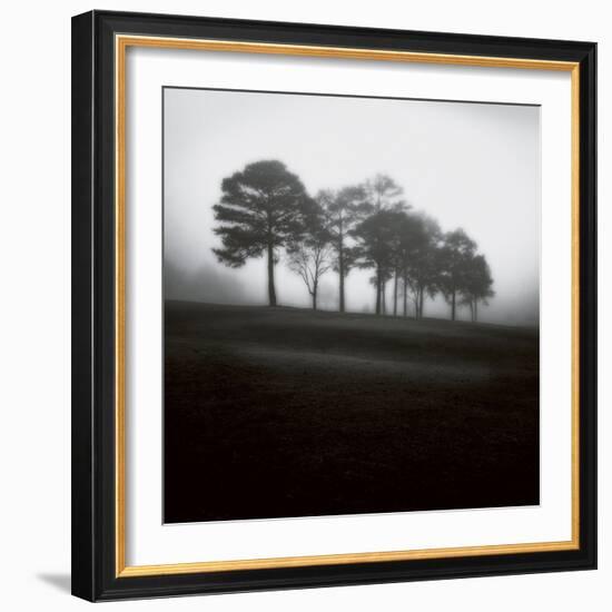 Fog Tree Study 2-Jamie Cook-Framed Giclee Print