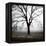 Fog Tree Study 3-Jamie Cook-Framed Premier Image Canvas