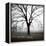 Fog Tree Study 3-Jamie Cook-Framed Premier Image Canvas