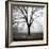 Fog Tree Study 3-Jamie Cook-Framed Giclee Print