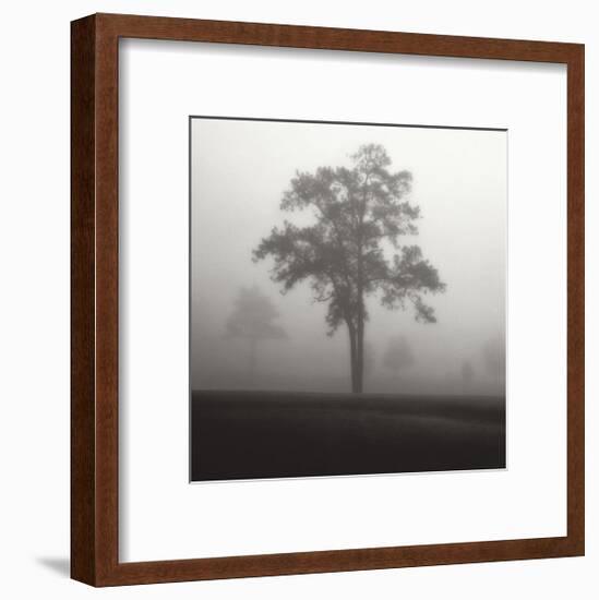 Fog Tree Study I-Jamie Cook-Framed Giclee Print