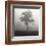 Fog Tree Study I-Jamie Cook-Framed Giclee Print