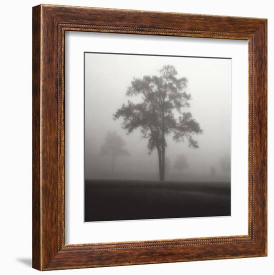 Fog Tree Study I-Jamie Cook-Framed Giclee Print