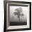 Fog Tree Study I-Jamie Cook-Framed Giclee Print