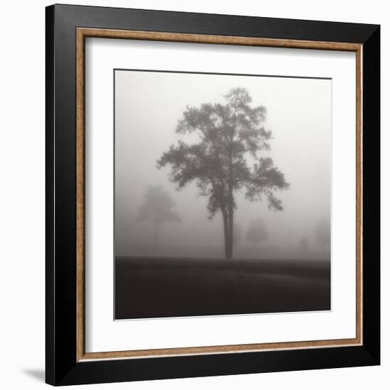 Fog Tree Study I-Jamie Cook-Framed Giclee Print