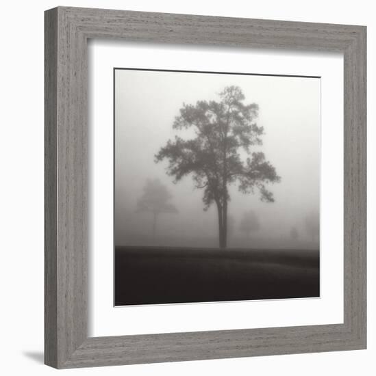 Fog Tree Study I-Jamie Cook-Framed Giclee Print