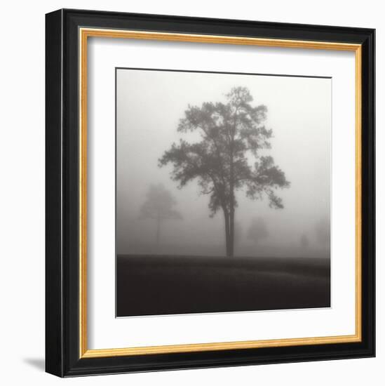 Fog Tree Study I-Jamie Cook-Framed Giclee Print