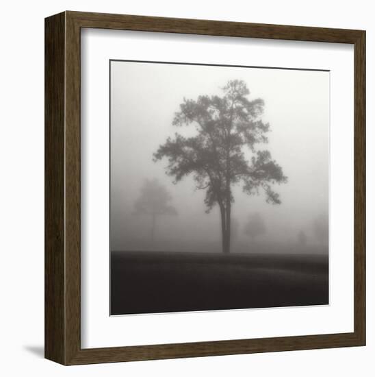 Fog Tree Study I-Jamie Cook-Framed Giclee Print