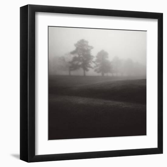 Fog Tree Study II-Jamie Cook-Framed Giclee Print