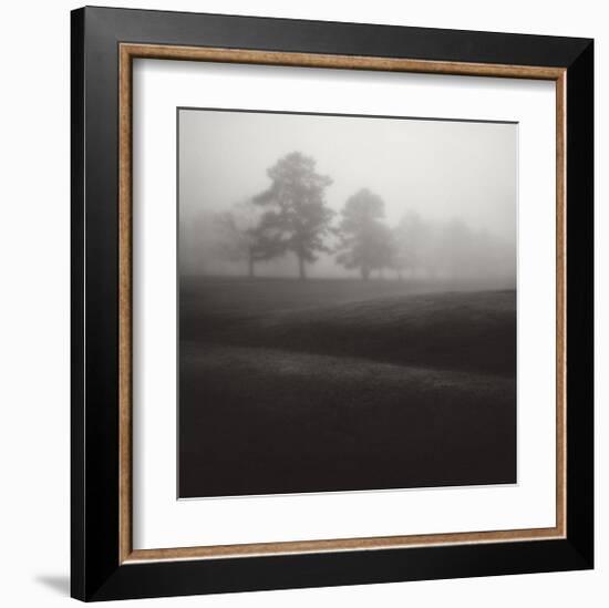 Fog Tree Study II-Jamie Cook-Framed Giclee Print