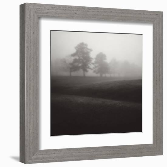 Fog Tree Study II-Jamie Cook-Framed Giclee Print