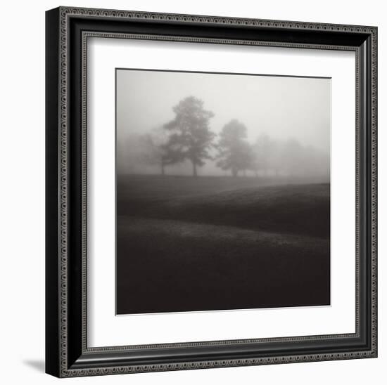 Fog Tree Study II-Jamie Cook-Framed Giclee Print