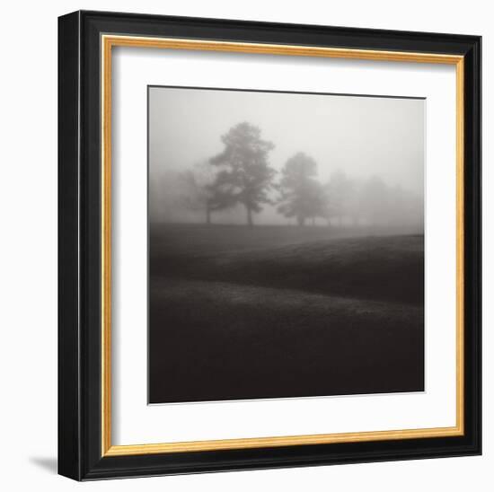 Fog Tree Study II-Jamie Cook-Framed Giclee Print