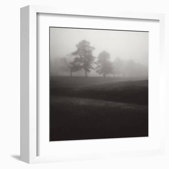 Fog Tree Study II-Jamie Cook-Framed Giclee Print