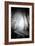 Fog Walkers in Forest-Rory Garforth-Framed Photographic Print