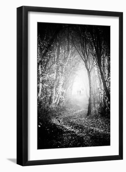 Fog Walkers in Forest-Rory Garforth-Framed Photographic Print