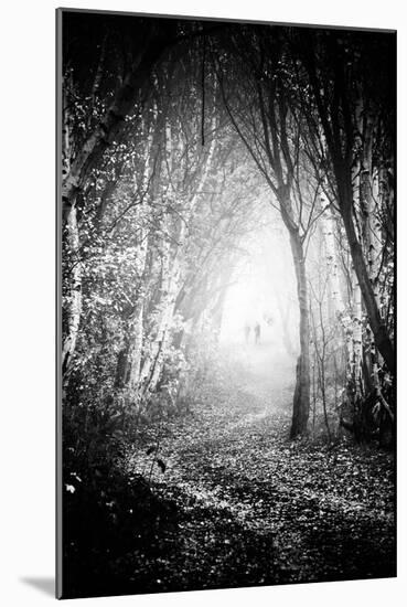 Fog Walkers in Forest-Rory Garforth-Mounted Photographic Print