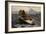 Fog Warning, 1885-Winslow Homer-Framed Giclee Print
