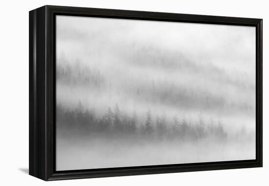 Fog-Ursula Abresch-Framed Premier Image Canvas